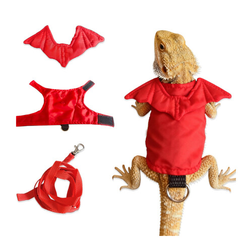 Bearded Dragon Lizards Leashes Harnesses Reptiles Lizards-Red