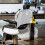 2Pièces Protection Chaise Coiffeur Plastique 3