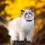 4Pcs Rhinestone Cat Collars Adjustable Bell Decorative Pet Accessories 5