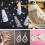 Beadsland Flat Back Crystal Rhinestones,CrystalAB,SS20/1440pcs,4.6-4.8mm 5