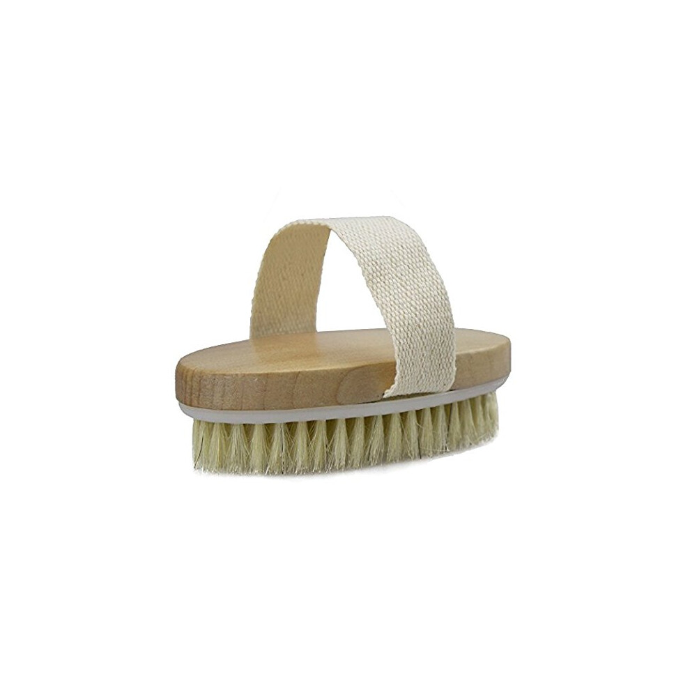 Natural Bristle Body Brush for Dry Skin Gentle Exfoliation with Ergonomic Soft Grip Handle