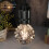Pineapple G95 LED Bulb 4W Warm White 2700K 6