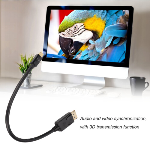 Mini Displayport auf DP Kabel 2560x1600