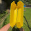 Paint Roller Cleaner Dryer Washer Cleaning Tool for Paint Rollers Roller Cleaner Tool 6