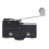 Panel Mount Long Hinge Roller Lever Ac  Basic Micro- Z-15Gw2-B 1