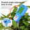 6-in-1 Soil Tester Multi-Function Digital Soil PH Meter Large Screen Digital Display Test Value PH Meter 2