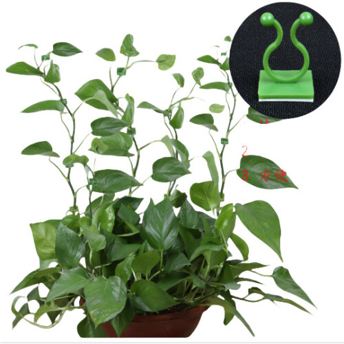 Cleme autoadezive pentru plante, pachet de 10  L 2