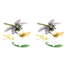 2X Life Cycle of A Dragonfly Insects Life Cycles Growth Model Children Animal Growth Cycle Science Educational Toys