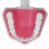 Teeth Model Tooth Brushing Practice Dental Teaching Tool Kit, PVC 6