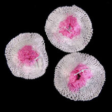 40Pcs 10cm Kerosene Lantern Lights Mantles Mesh Gauze Mantle for Gas Lantern Outdoor Gas Mantle Lamp Mantle Cover Tools