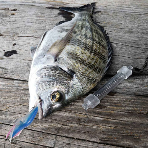 3 Stück Blau Blinkende LED FischköDer Blitzlicht 10 cm Minnow Leucht Squid Jig Garnele KöDer Nacht Fischen KöDer 1