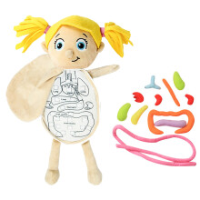 Preschool Body Organ Plush Toy