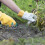 Garden Weeding Teeth, Remover Tool, Hand Uprooting Weeder Tool, Multi-Purpose Puller, Puller Tool with Forgeds Steel, A 6