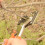 Garden Fruit Tree Pro Pruning Shears Scissor Grafting Cutting Tool Pruner Tree Cutting Tool Garden Engraft Grafting Tool Set 6