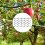 25 Pieces Tree Branch Spreader, Tree Branch Support Frame for Strong Branch  Apples and Other Fruit Trees 5