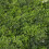60 x 40cm Artificial Meadow Artificial Grass Wall Panel for wedding or home decoration 1