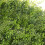 60 x 40cm Artificial Meadow Artificial Grass Wall Panel for wedding or home decoration 5