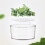 Airtight Bread Box Round Homemade Bread Storage Container  Recording Bread Keeper for Homemade Bread 3