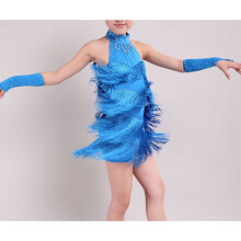 Latin Dance Dress Girls 120cm Latin Fringe Dress Ballroom Dance Costume Dancing Clothing