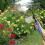 Diatomaceous Earth Applicator Plant Powder Duster Sprayers Multi-Functional Diatomaceous Earth Sprayers Gardening Tool 4