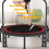 16PCS 5.5 Inch Heavy Duty Trampoline Replacement Springs with T Hook Pull Tool Trampoline Accessories Hand Pull Tool 6