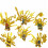 6 PCS Phantom Ninja Gold Edition Building Blocks 1
