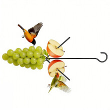 Decorative Hanging Feeder For Small Wildlife Unique Iron-1