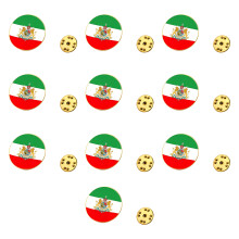 Elegante iranische Nationalflaggen-Löwen-Brosche-Gold Runde zwei