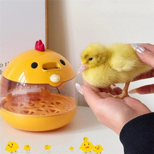 Eggs Incubator Practical Eggs Hatching Incubator Hatcher Machine Farm Eggs Incubator for Hatching Quail Turkey Parrots 2