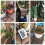 Garden  Automatic Watering Device Solar Charging Potted Plant Drip Irrigation Pump System Timer 3
