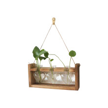 Plant Terrarium Heart Shape Clear Glass Vases With Wood Stand-1