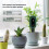Zigbee  Soil Moisture Meter Tuya App Control Soil Tester Temperature Humidity Sensor with Gateway for Garden Potted 9