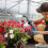 Diatomaceous Earth Applicator Plant Powder Duster Sprayers Multi-Functional Diatomaceous Earth Sprayers Gardening Tool 7