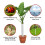 8PCS Tree Protectors 2 Size Plastic Spiral Tree Guard Tree Trunk Protector Wrap Tree Bark Protector Tube Tree Wraps 7
