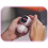AI Robot Pendant -Sized Pet Robot with Voice Interaction, Pendant,Facial Expression Display 5