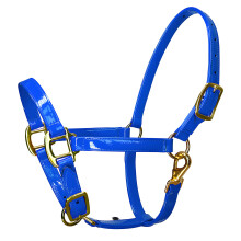Modieus gouden hoofdstel van metalen paardenhoofdstel-Blauwe M