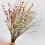 Artificial Silver Willow Sprays For Event And Interior-Pink 6