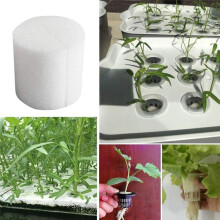 200 Pièces Hydroponique Jardinage Plante Outils ÉPonge Plantée Système de Culture de Légumes 44X30mm