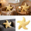 Star Plush Cushion Perfect For Back Support-400*400mm White 3