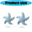 Star Shape Plush Cushion With Soft Crystals-400*400mm Blue 4