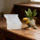 High Quality Silicone Mold Garden Accessory Making Mold For 2