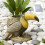 Robuste Silikonform für Vogelfiguren, künstlerische 6