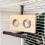 Durability Wooden Parrots Gym Interactively For Climbing Jumping 4