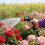 Wasserspritzpistolen in Industriequalität. Leichter 5