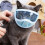 Catss Bubble Muzzles Transparents Permeable Face Cover-White M 5