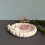 Beginner Friendly Silicone Irregular Jewelry Dish Mold Artistic 7