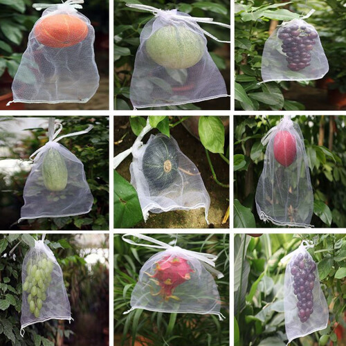 100Pcs Fruit Protective Bags Net Cover Bags Drawstring-32x38 2
