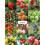 100Pcs Fruit Protective Bags Net Cover Bags Drawstring-32x38 7