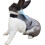 Gilet confortable pour chien, gilet-S points roses 7
