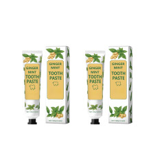 Natural Ginger Mint Toothpaste for Fresh Breath, Gentle Daily Formula, Adult Herbal Toothpaste 100g (2 PCS)